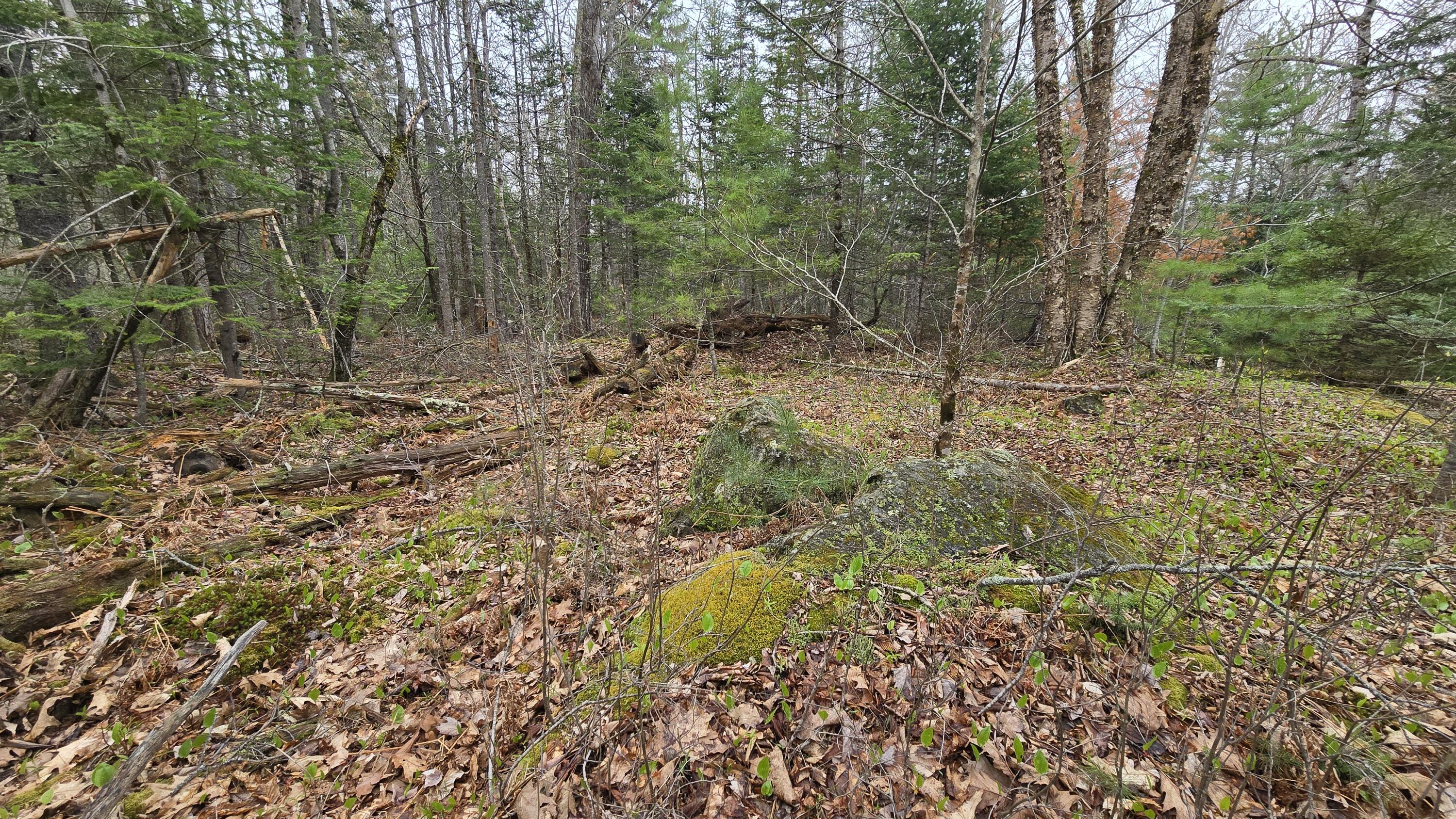 Lot 58 Camden Road Lincolnville ME 04849