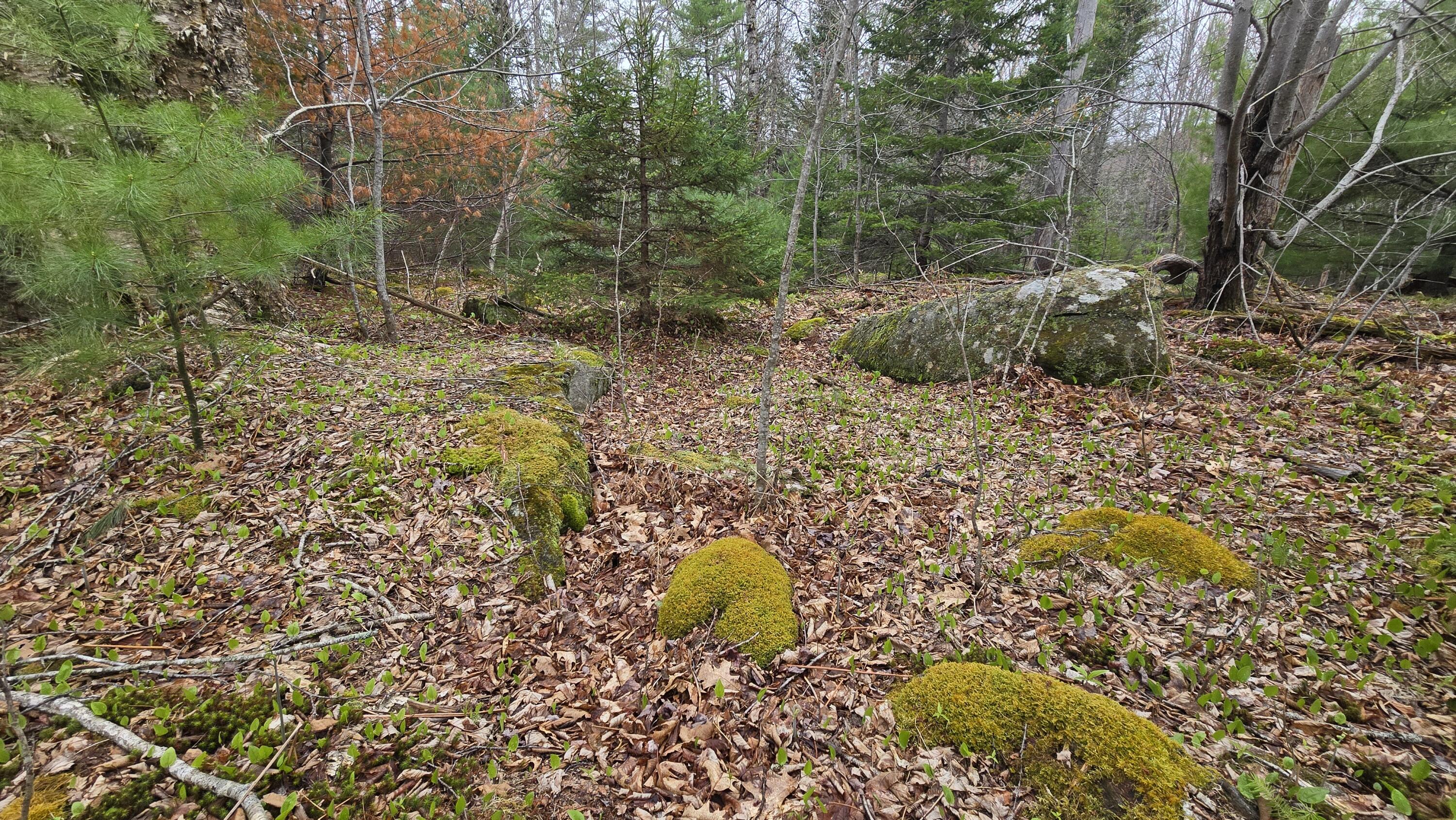 Lot 58 Camden Road Lincolnville ME 04849
