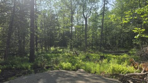 Lot 58 Camden Road Lincolnville ME 04849