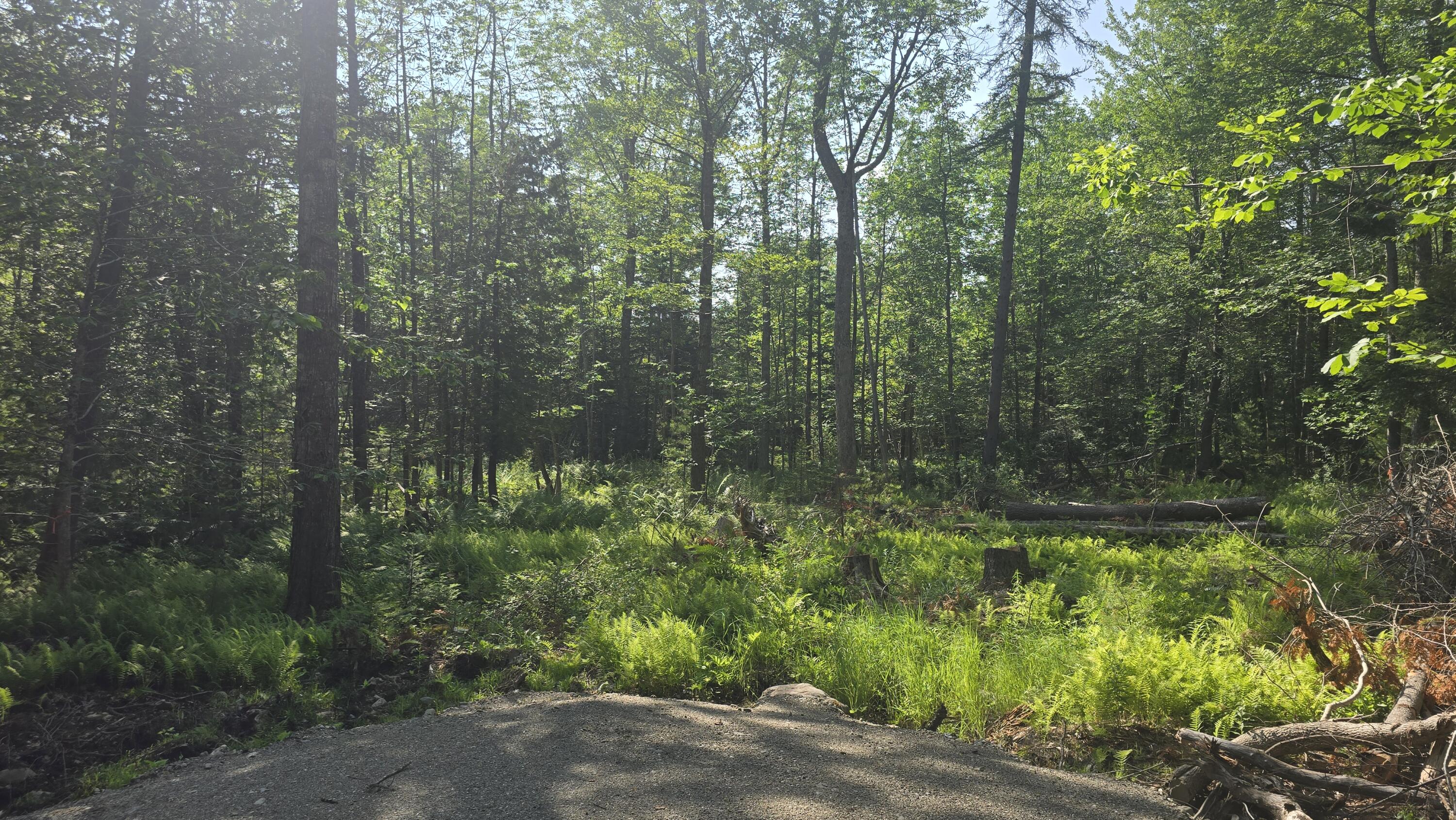 Lot 58 Camden Road Lincolnville ME 04849