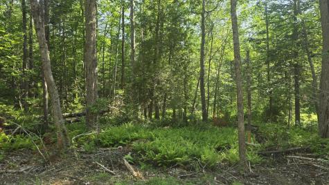 Lot 58 Camden Road Lincolnville ME 04849