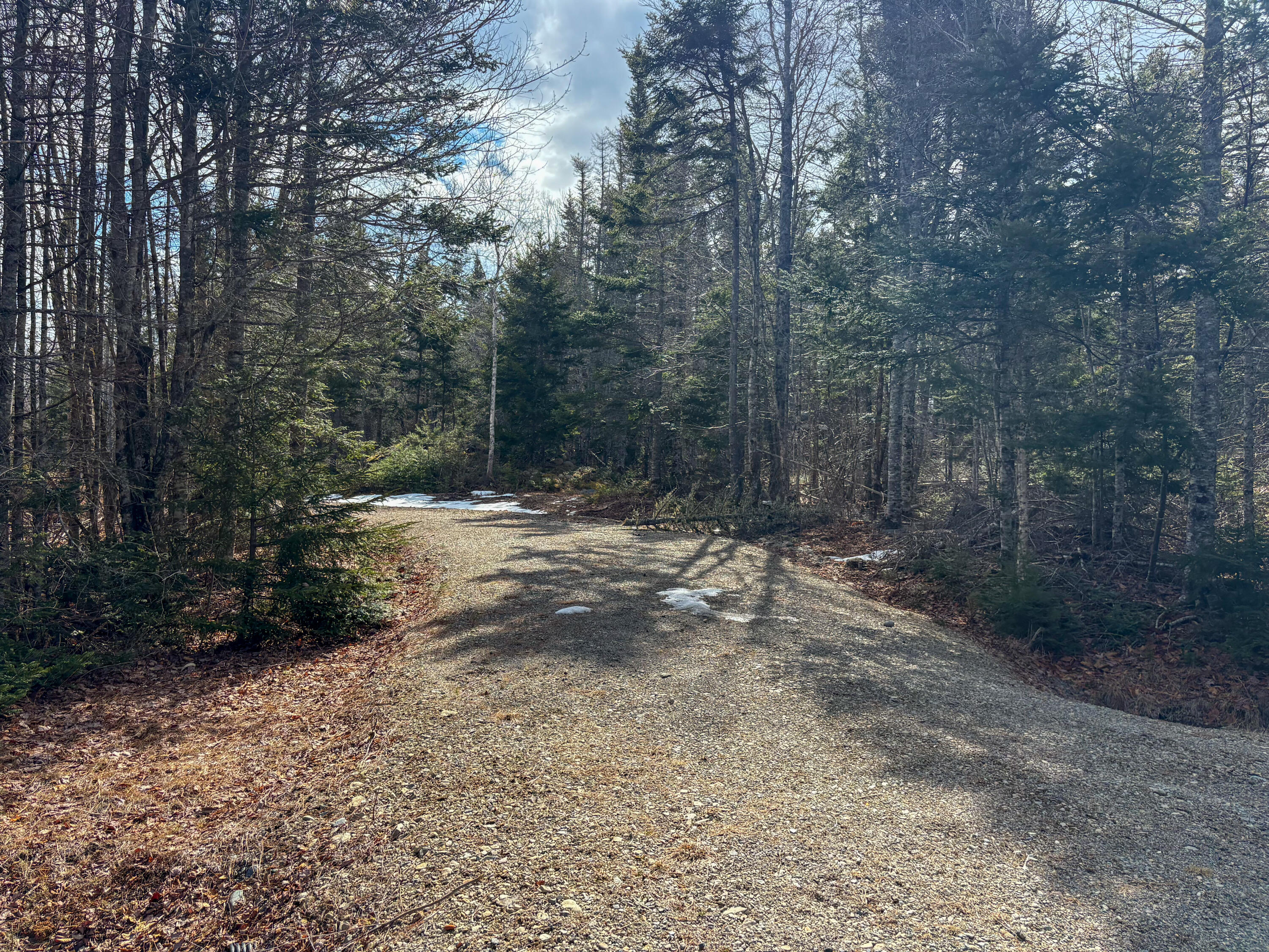 Lot #14 Pidgeon Point Road Whiting ME 04691