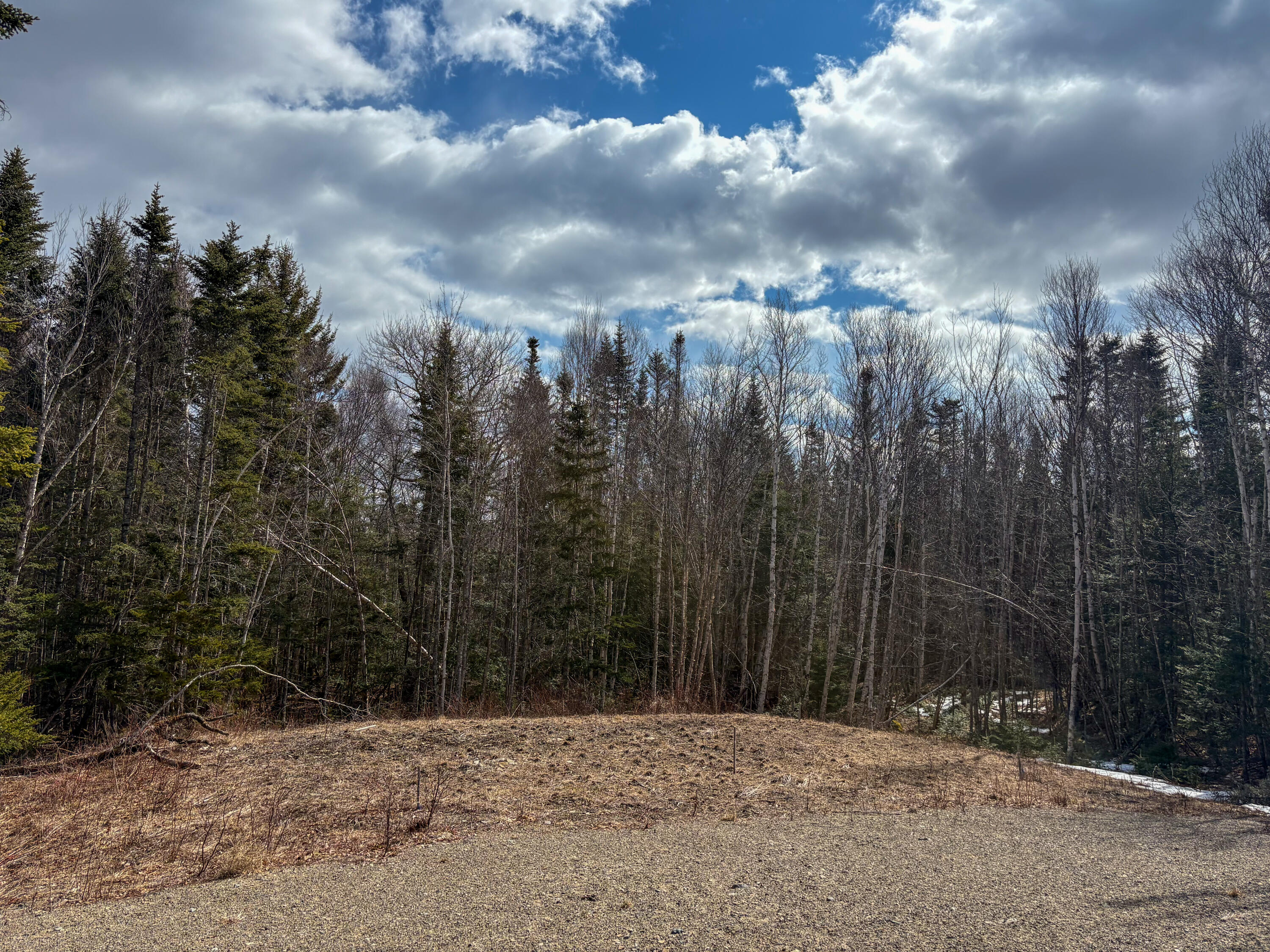 Lot #14 Pidgeon Point Road Whiting ME 04691