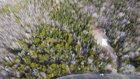 Lot #14 Pidgeon Point Road Whiting ME 04691