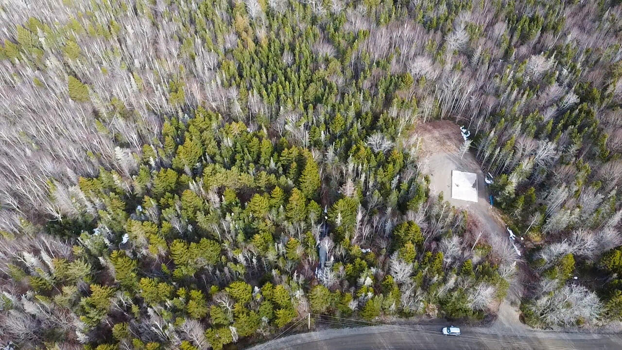 Lot #14 Pidgeon Point Road Whiting ME 04691