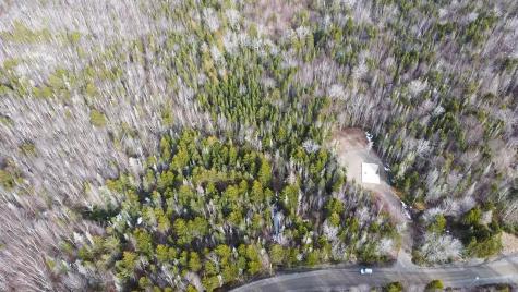 Lot #14 Pidgeon Point Road Whiting ME 04691