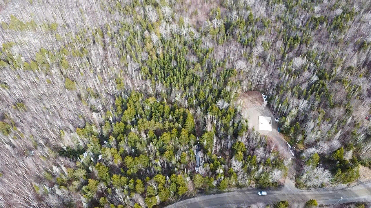 Lot #14 Pidgeon Point Road Whiting ME 04691