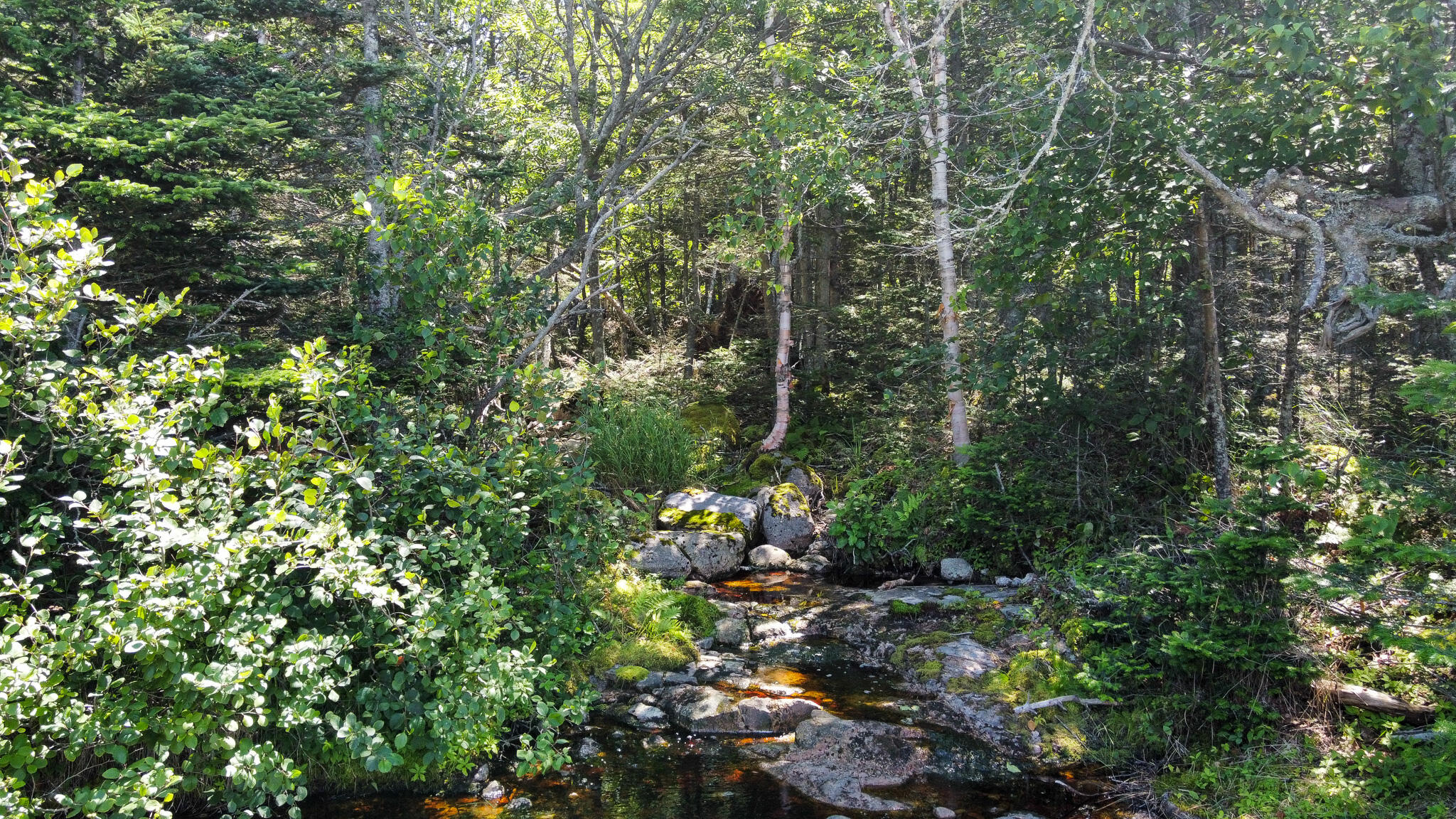 Lot 9-1 Black Duck Cove Road Beals ME 04611