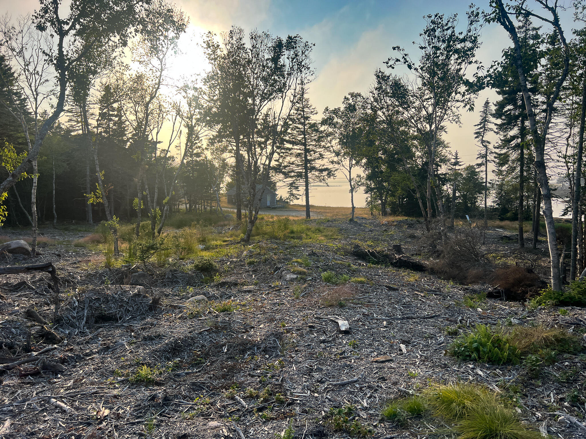 Lot 9-1 Black Duck Cove Road Beals ME 04611