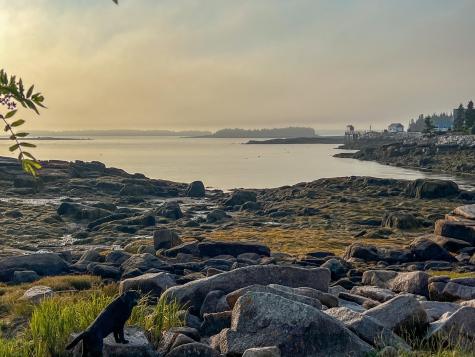 Lot 9-1 Black Duck Cove Road Beals ME 04611