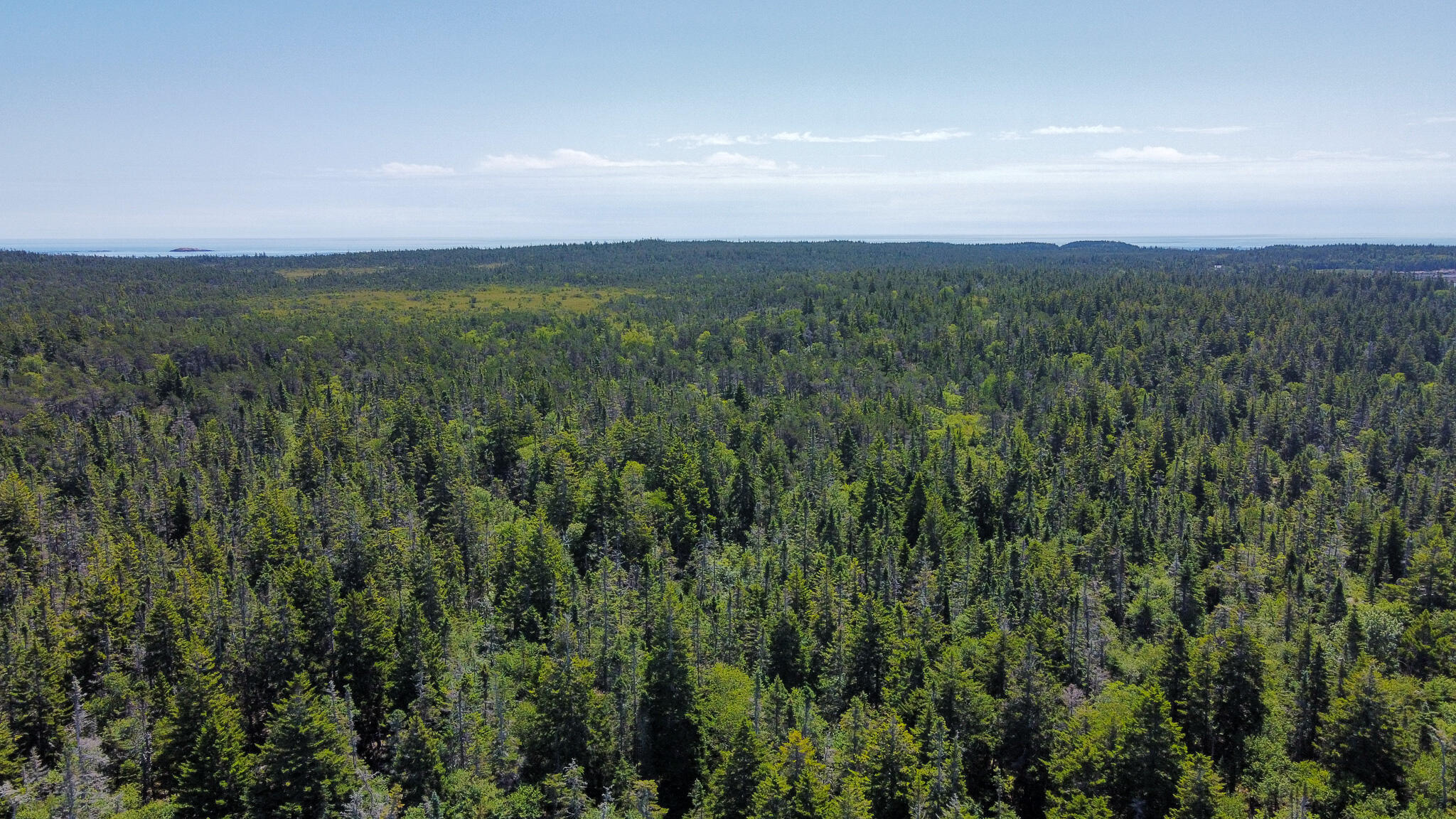 Lot 9-1 Black Duck Cove Road Beals ME 04611