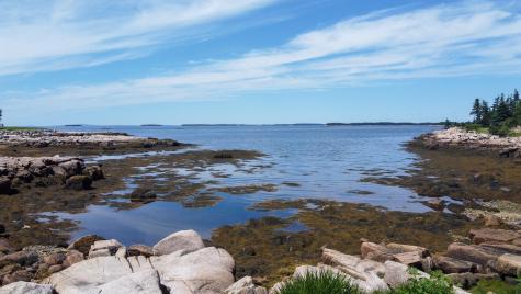 Lot 9-1 Black Duck Cove Road Beals ME 04611