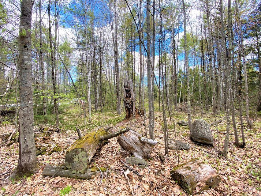 00 Libby Road Newfield ME 04095