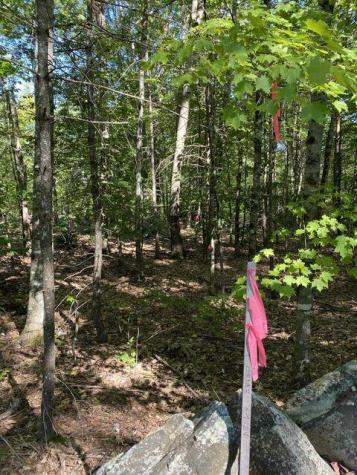 00 Libby Road Newfield ME 04095