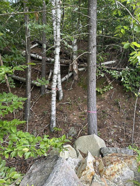 00 Libby Road Newfield ME 04095