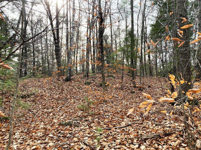 00 Libby Road Newfield ME 04095