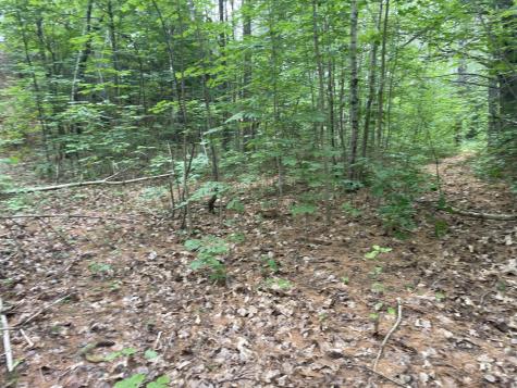 0 Hartland Avenue Pittsfield ME 04967