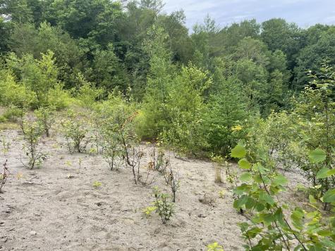 0 Hartland Avenue Pittsfield ME 04967