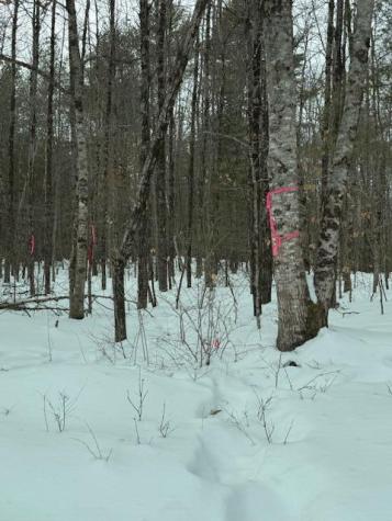 Lot 1 Willow Way Jefferson ME 04348