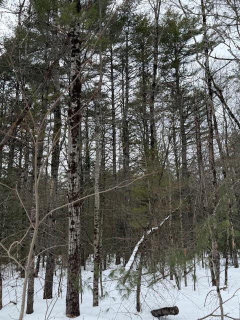 Lot 1 Willow Way Jefferson ME 04348
