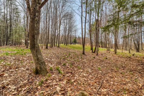 L10-A Livermore Falls Road Farmington ME 04938