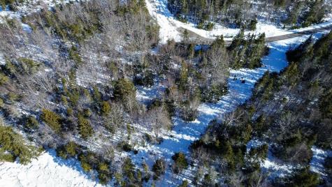 Lot 50 Cove Road Machiasport ME 04655
