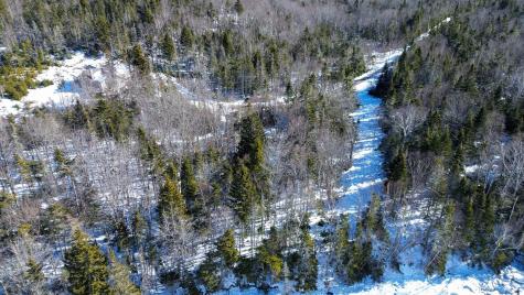 Lot 50 Cove Road Machiasport ME 04655