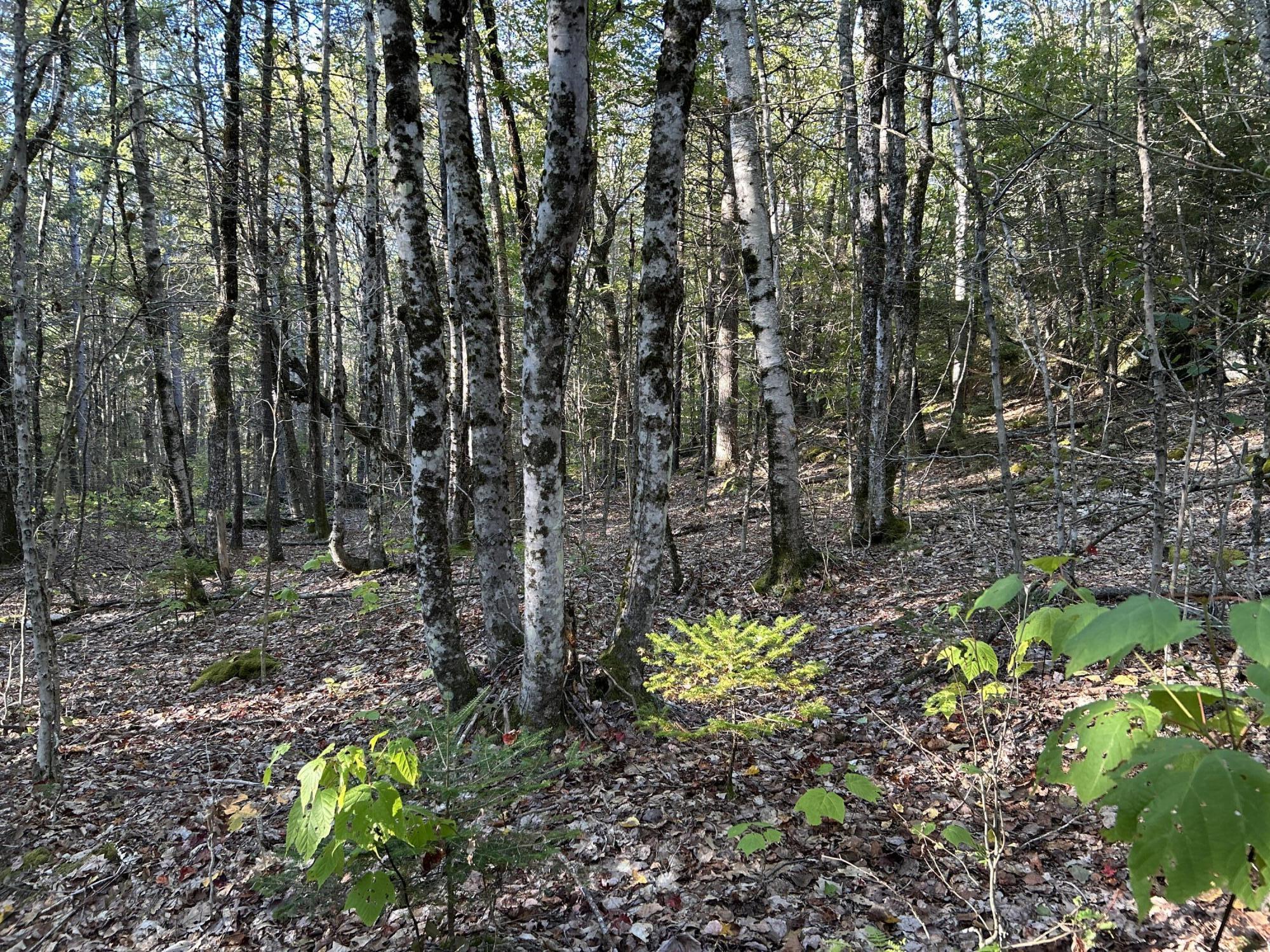 M6L43 Biscay Road Bremen ME 04551