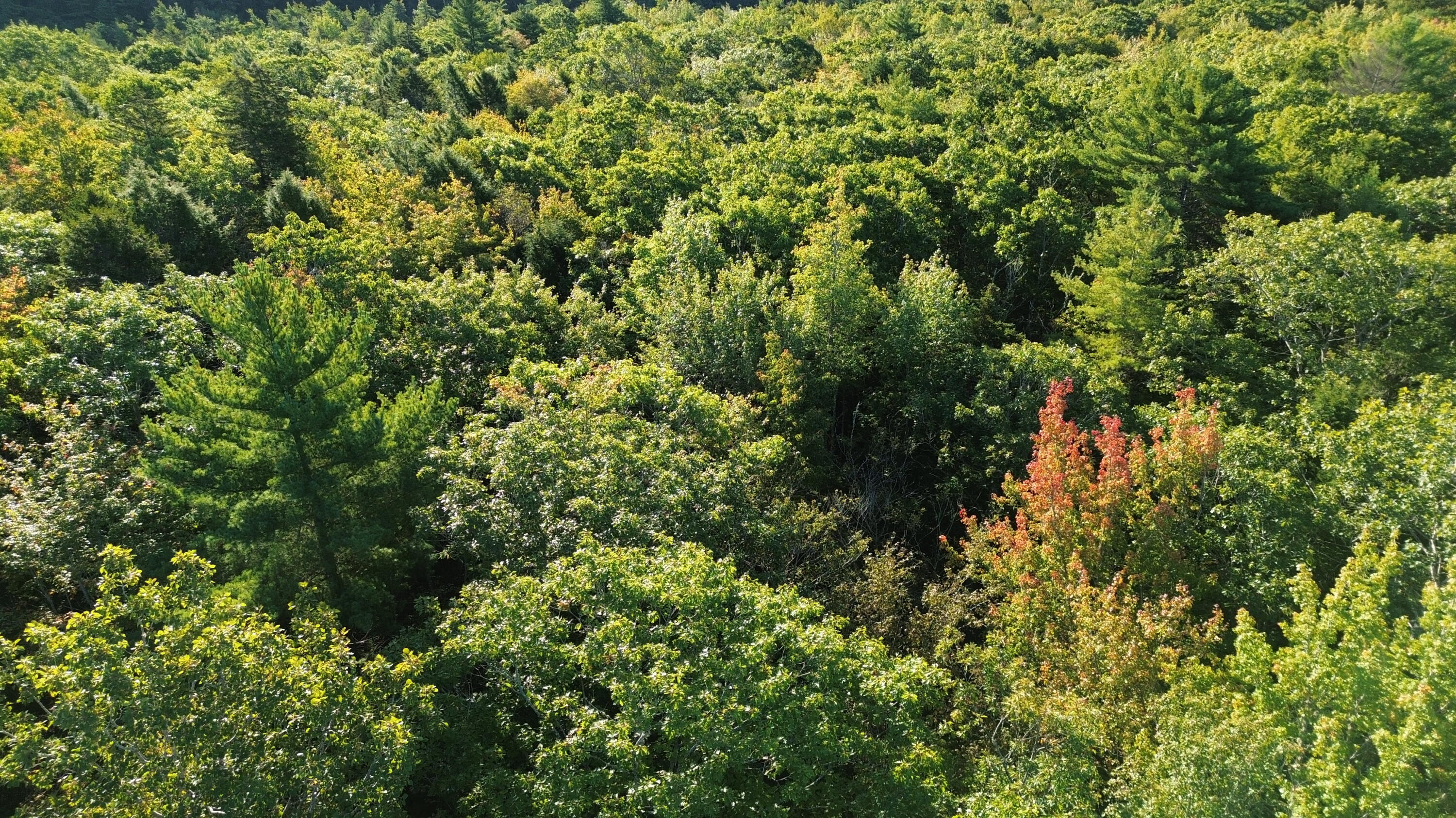 M6L43 Biscay Road Bremen ME 04551