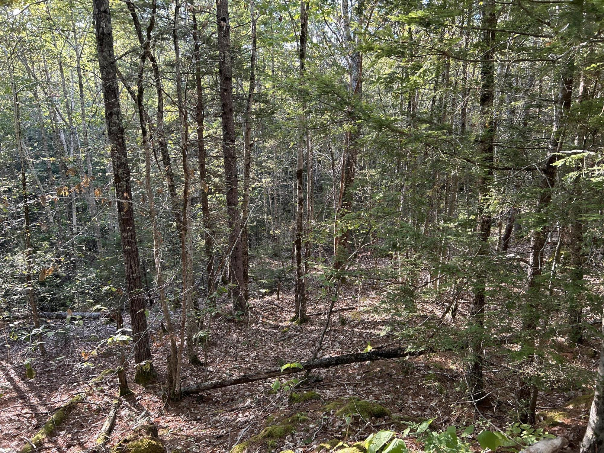 M6L43 Biscay Road Bremen ME 04551