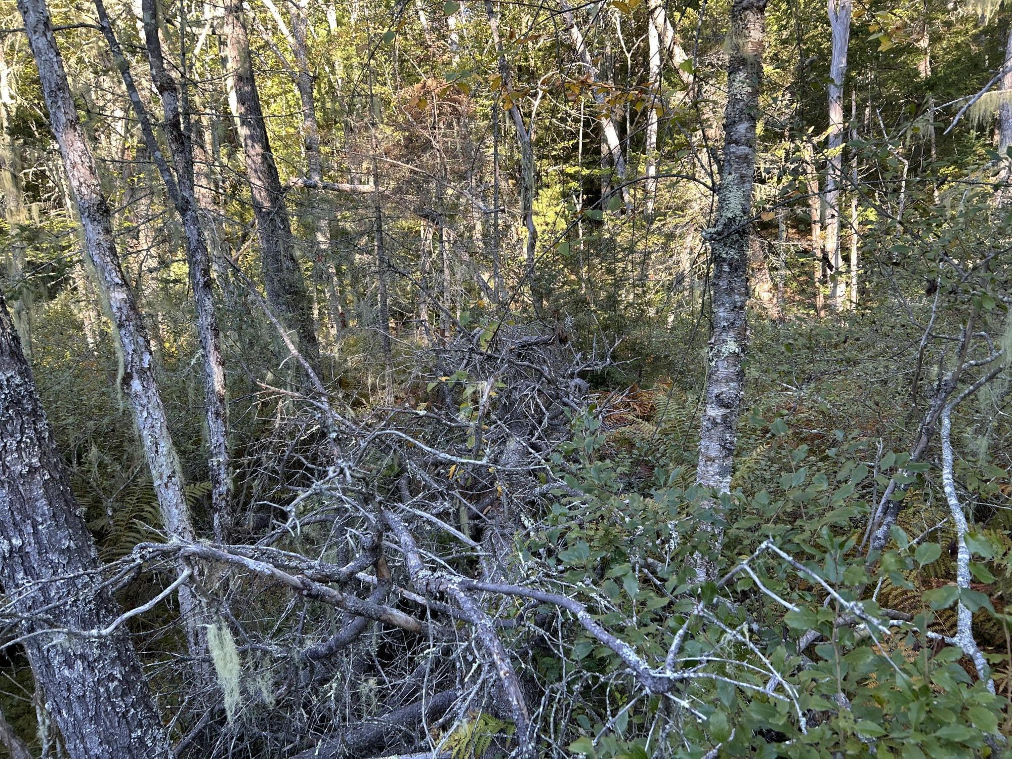 M6L43 Biscay Road Bremen ME 04551