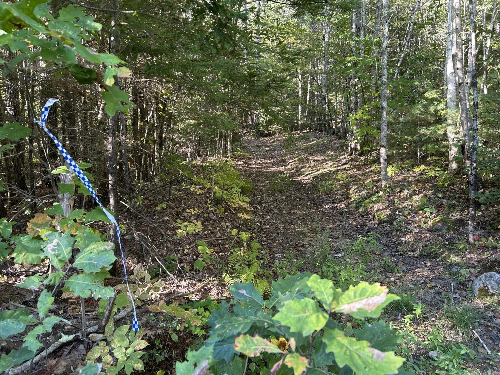 M6L43 Biscay Road Bremen ME 04551