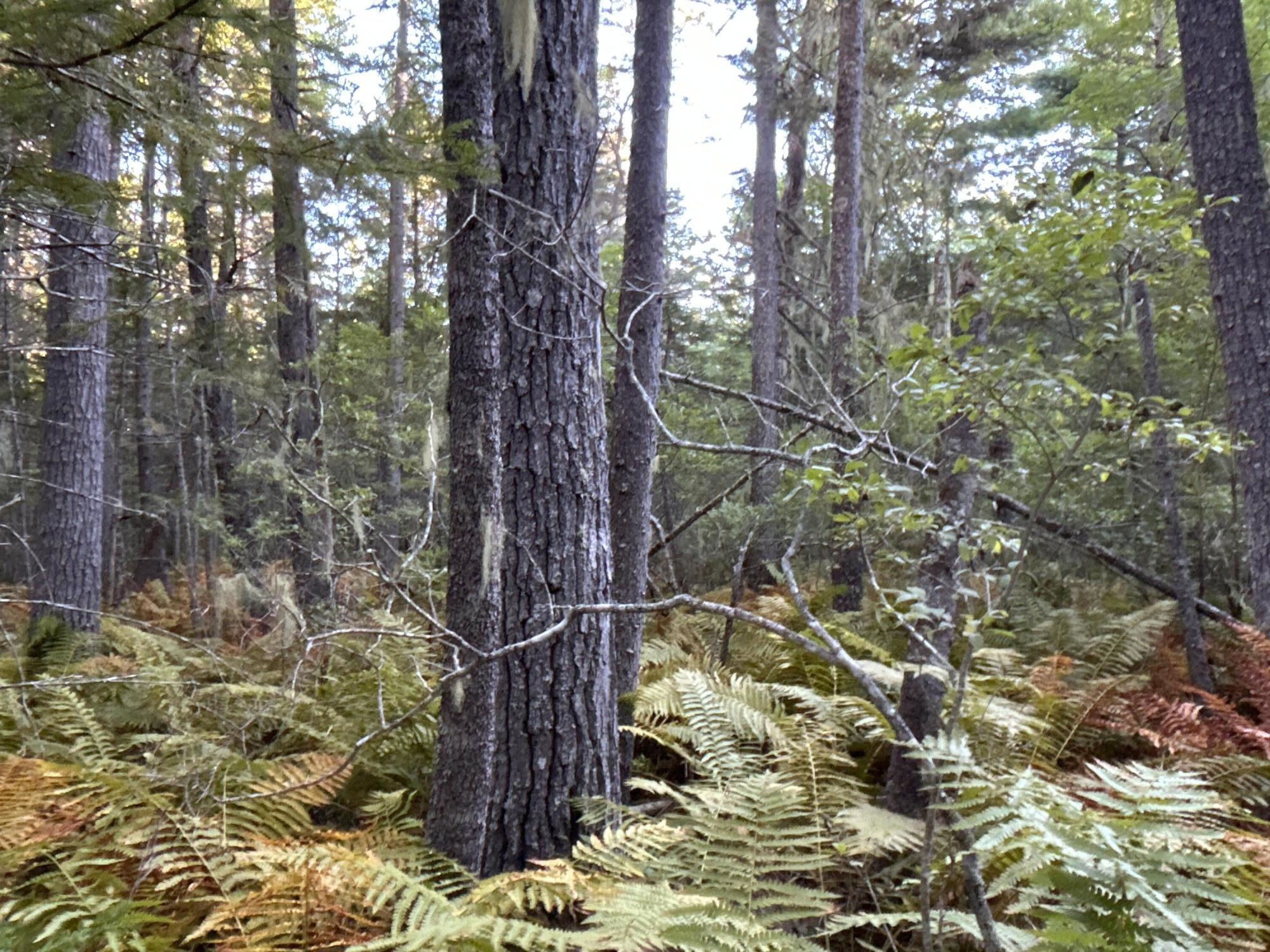 M6L43 Biscay Road Bremen ME 04551