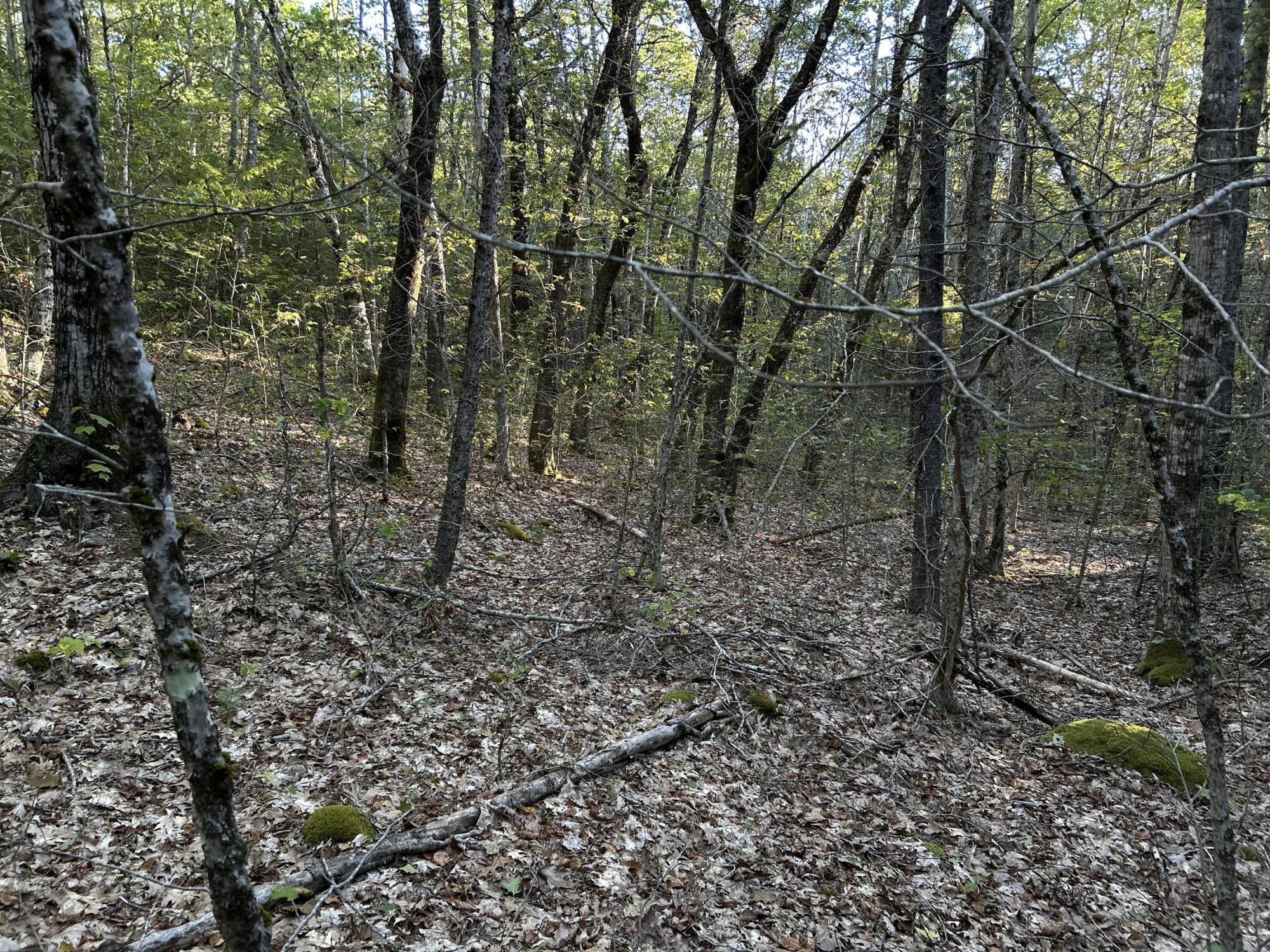 M6L43 Biscay Road Bremen ME 04551