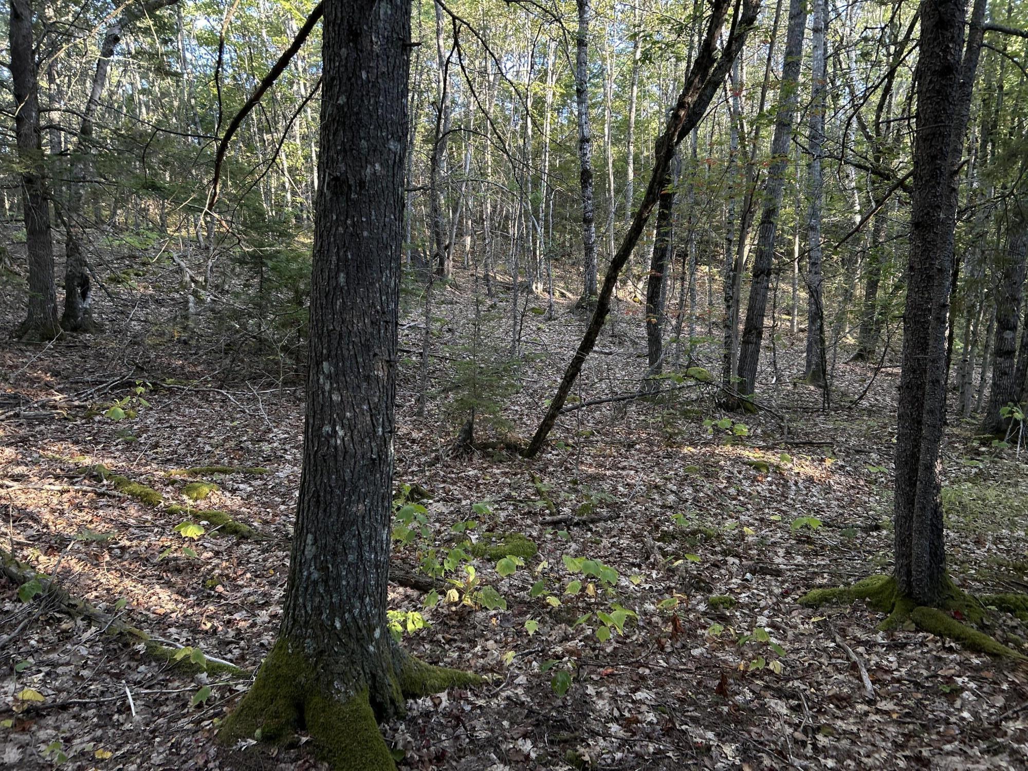 M6L43 Biscay Road Bremen ME 04551