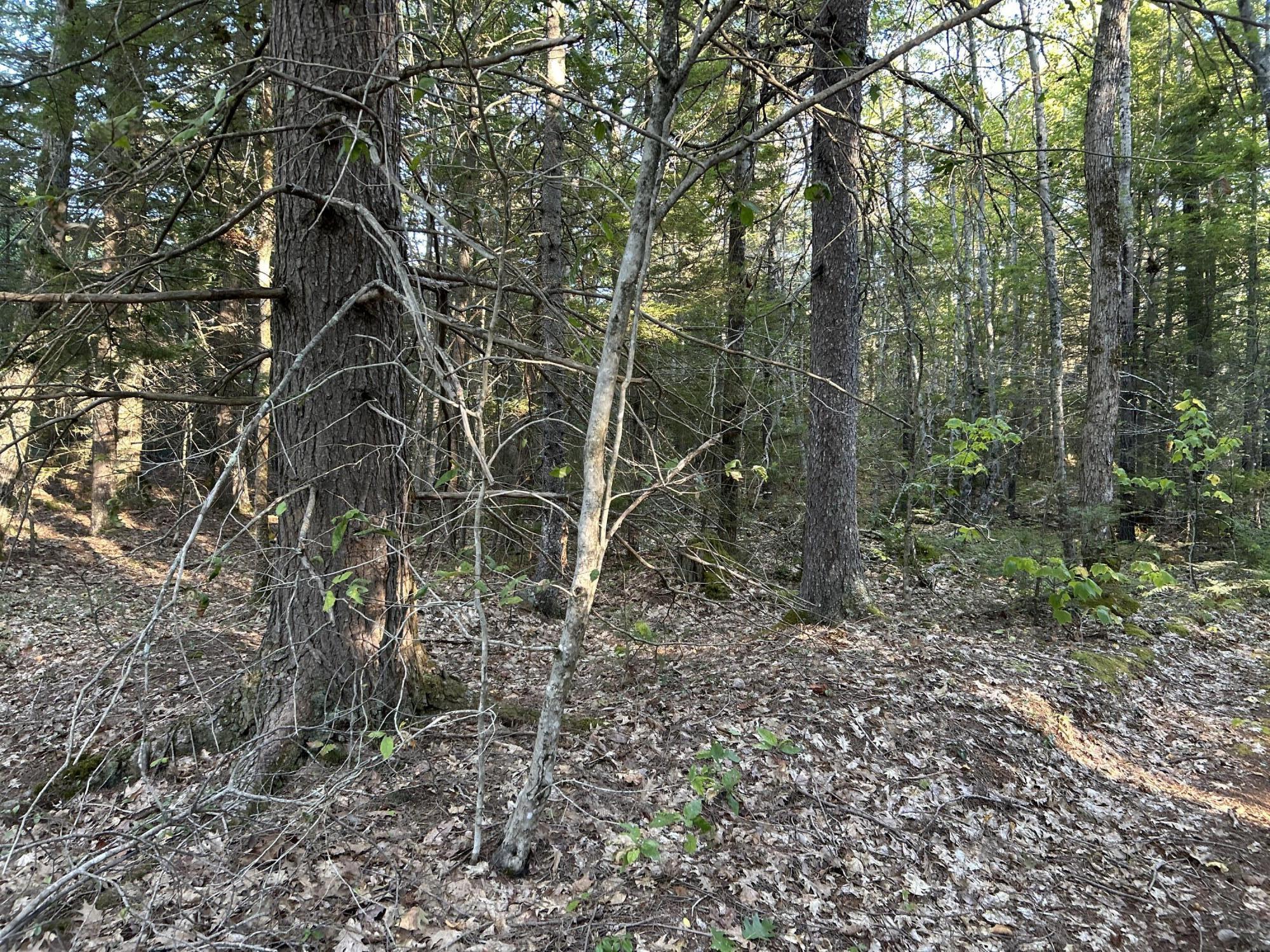 M6L43 Biscay Road Bremen ME 04551