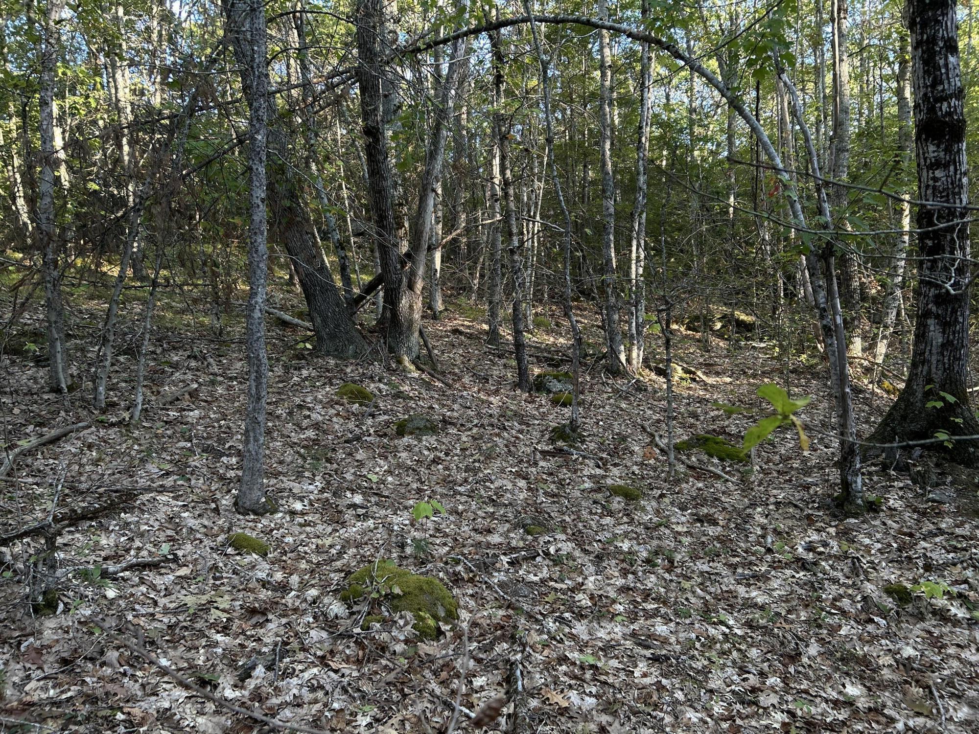 M6L43 Biscay Road Bremen ME 04551