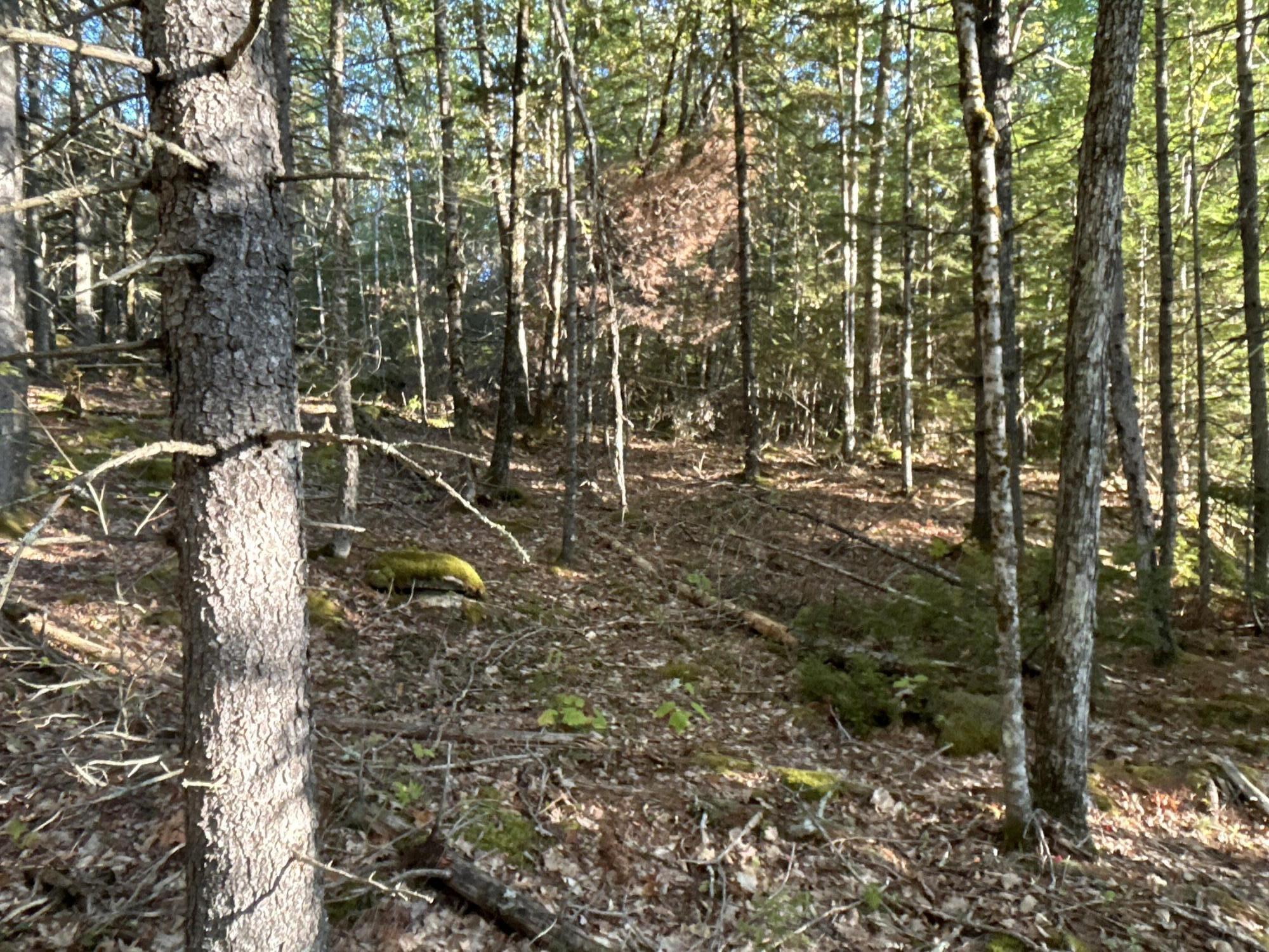 M6L43 Biscay Road Bremen ME 04551