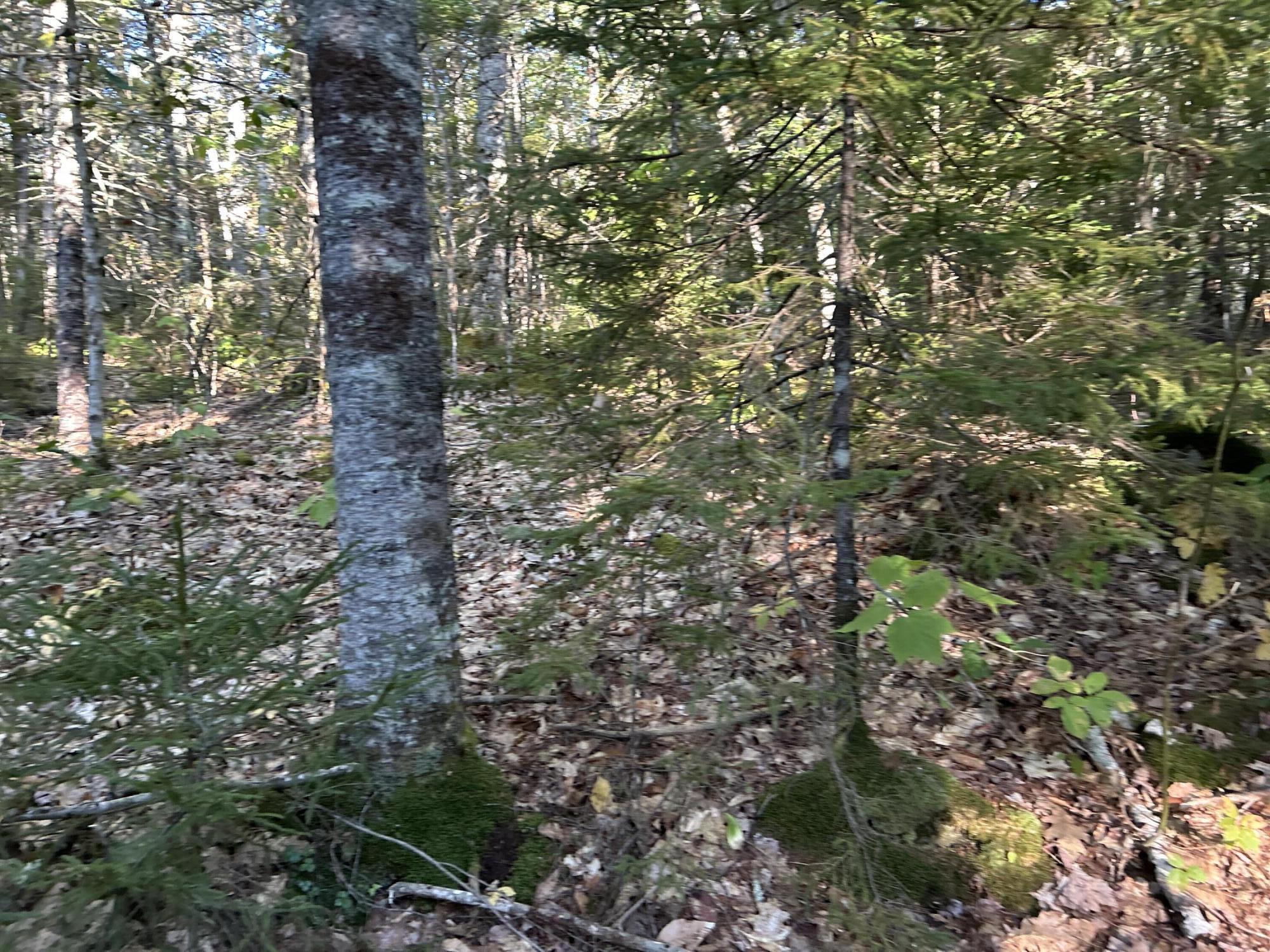 M6L43 Biscay Road Bremen ME 04551