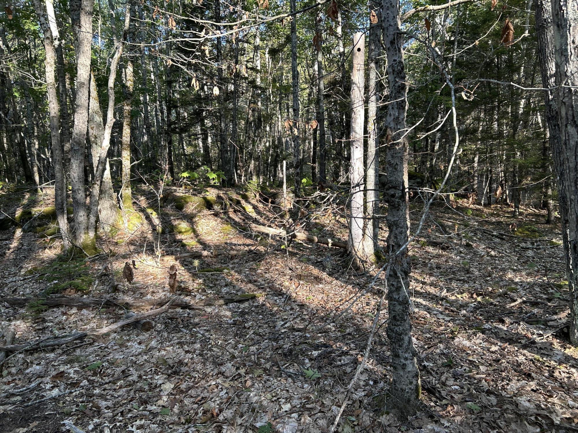 M6L43 Biscay Road Bremen ME 04551