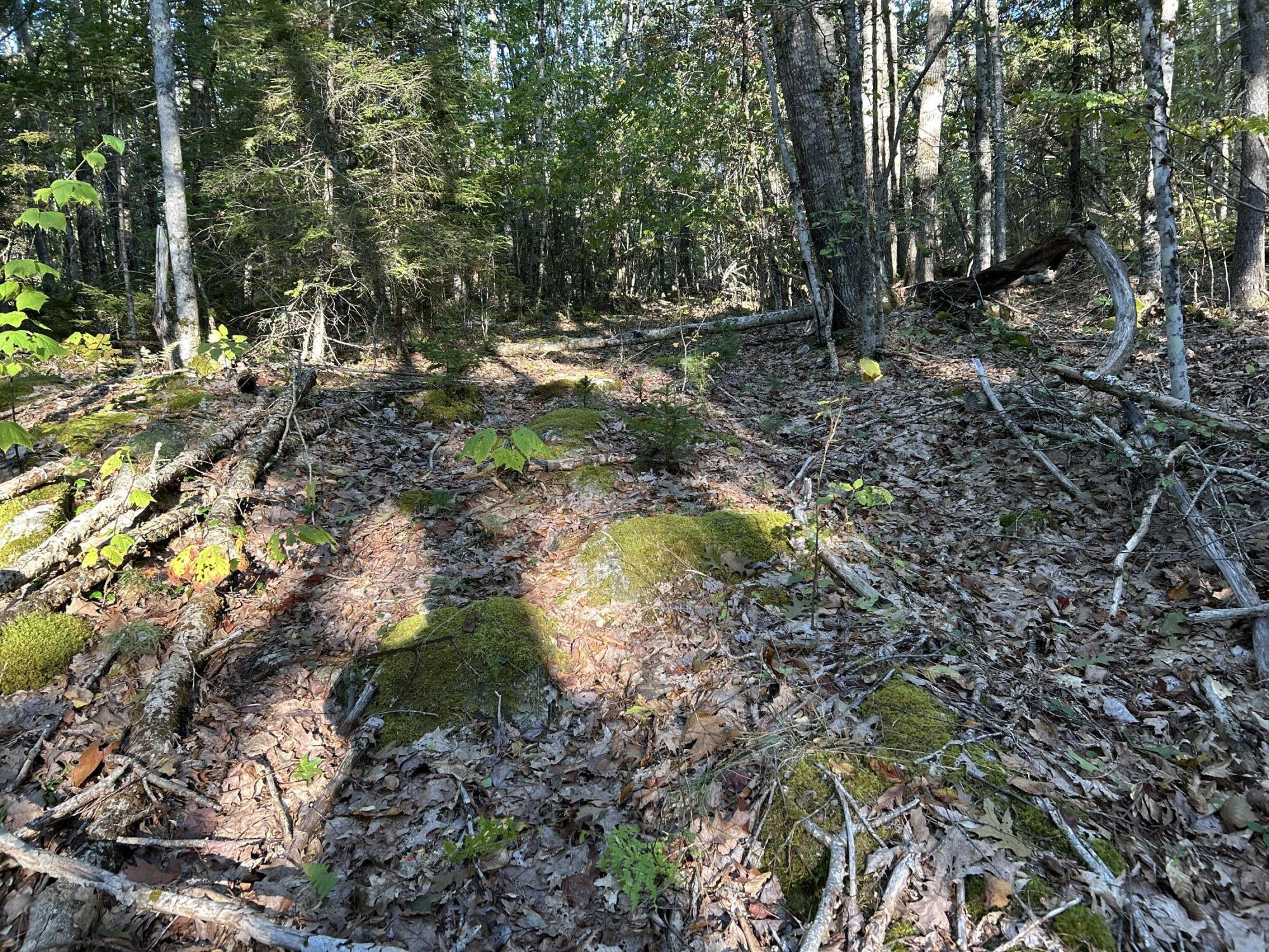 M6L43 Biscay Road Bremen ME 04551