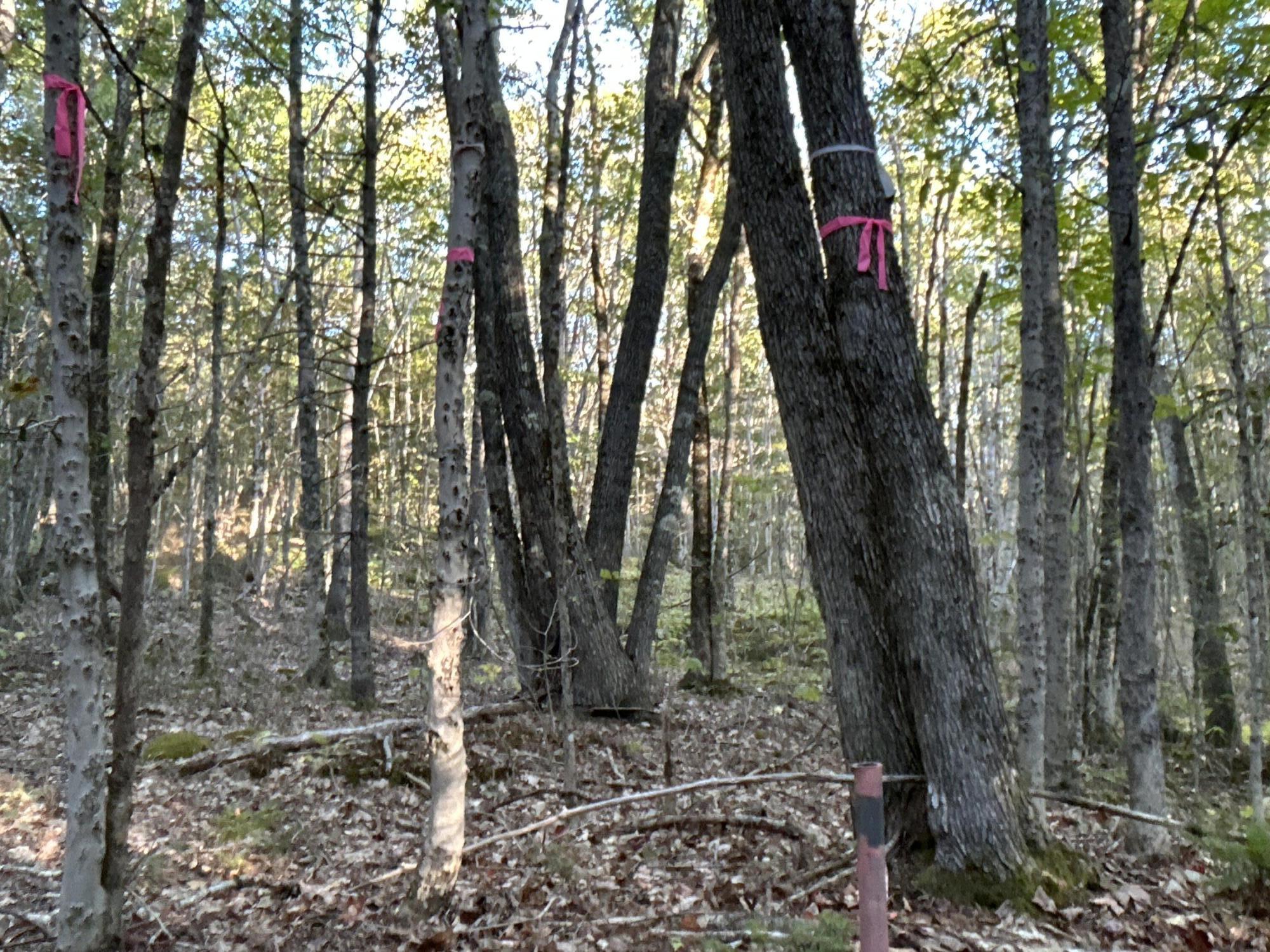 M6L43 Biscay Road Bremen ME 04551