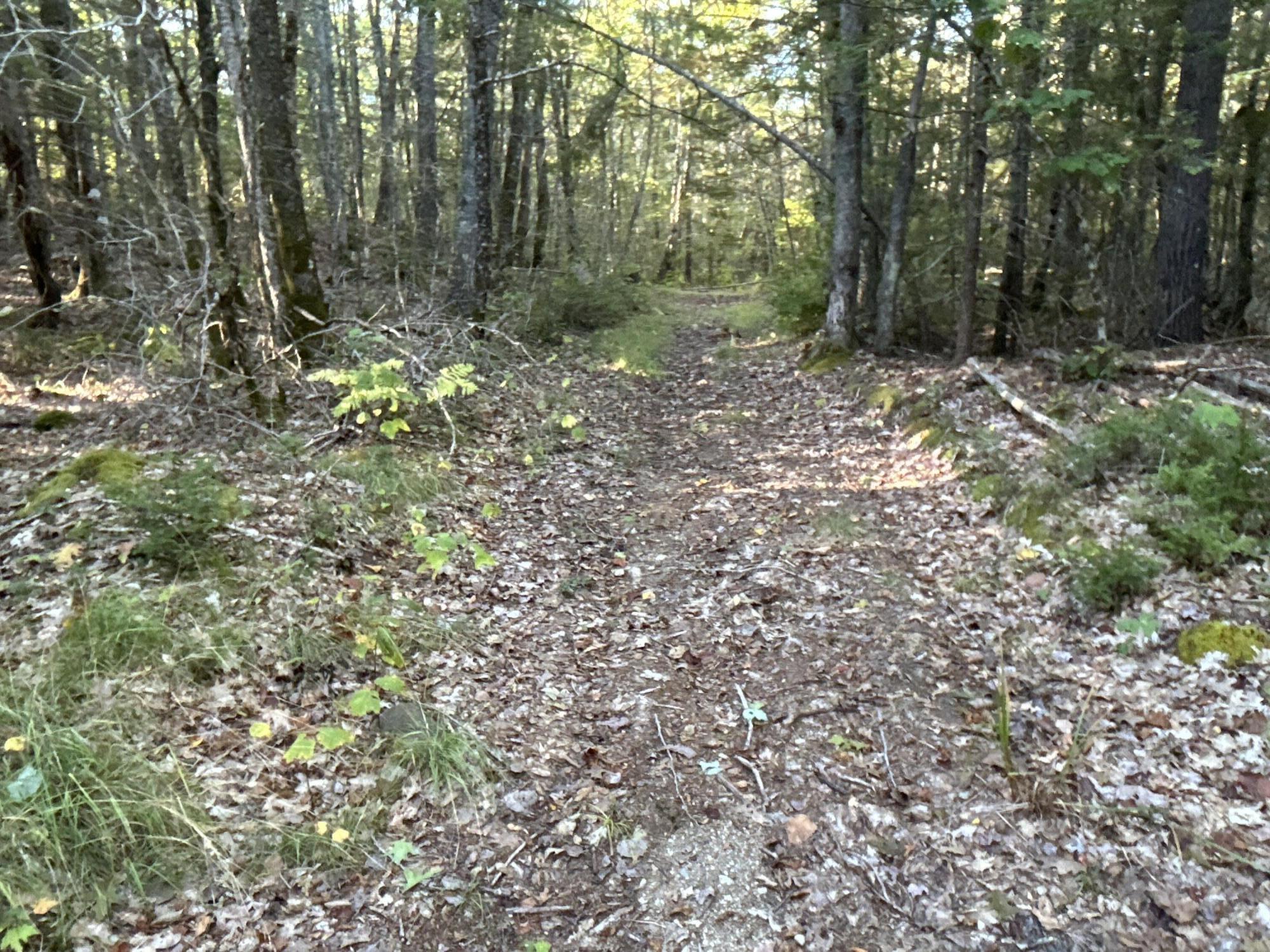 M6L43 Biscay Road Bremen ME 04551