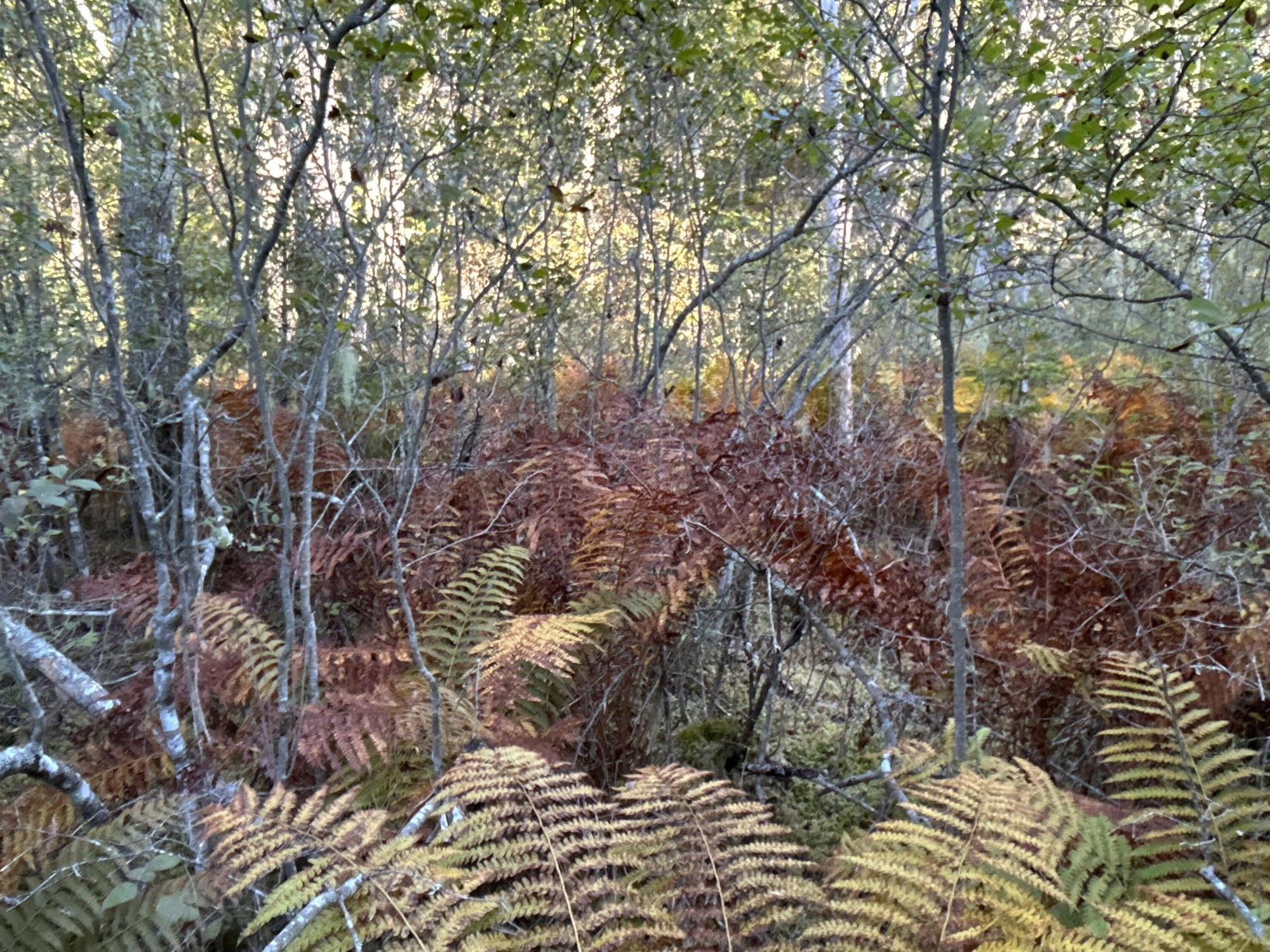 M6L43 Biscay Road Bremen ME 04551