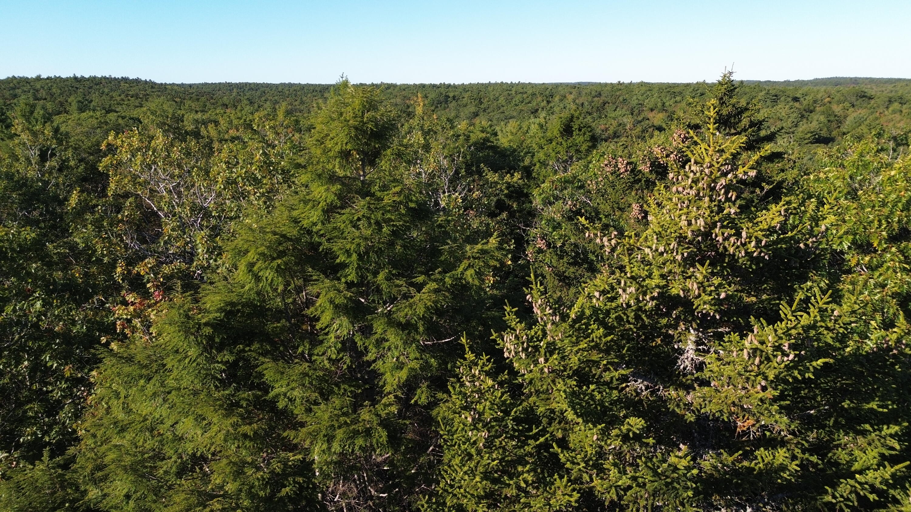 M6L43 Biscay Road Bremen ME 04551