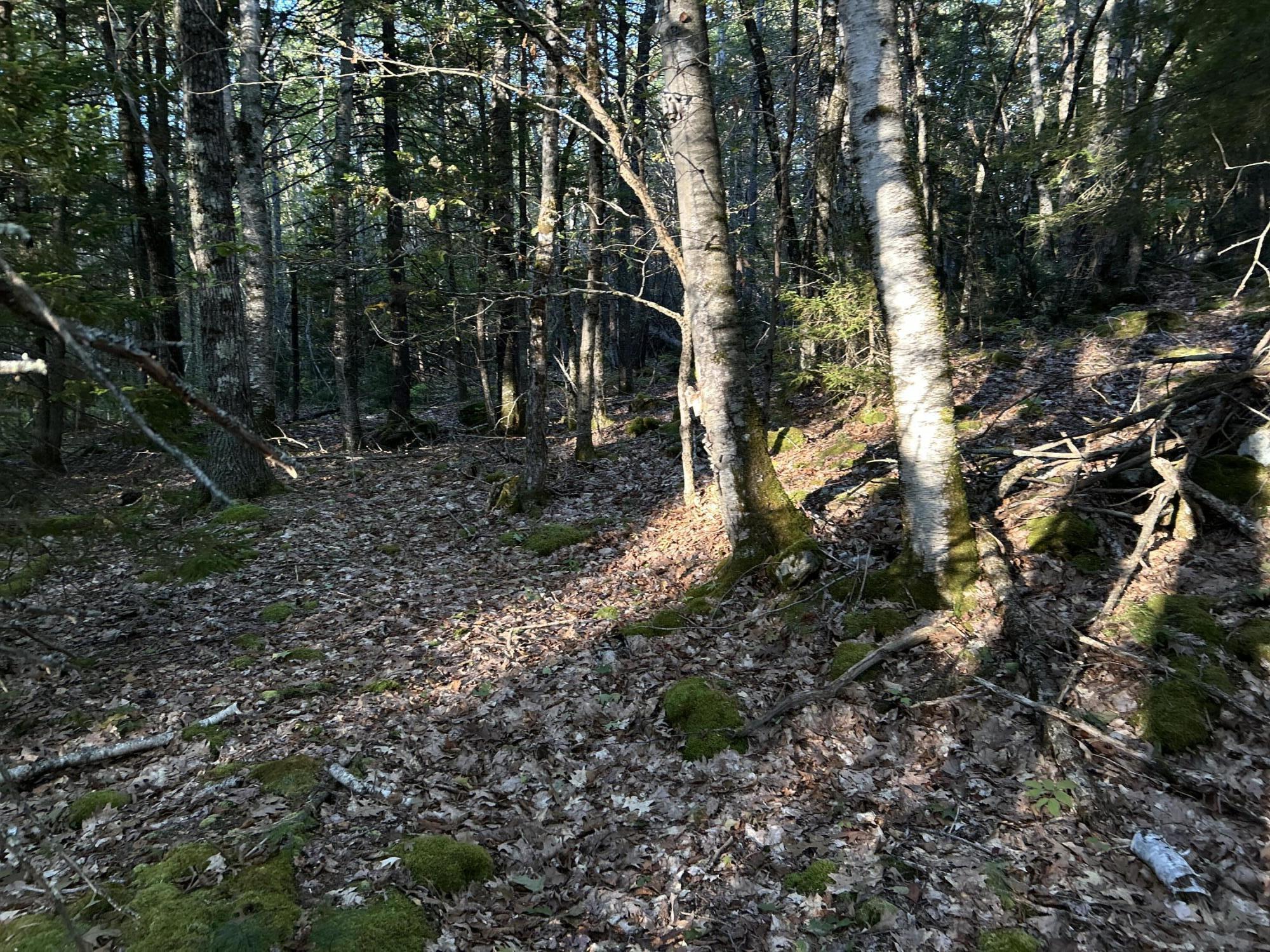 M6L43 Biscay Road Bremen ME 04551