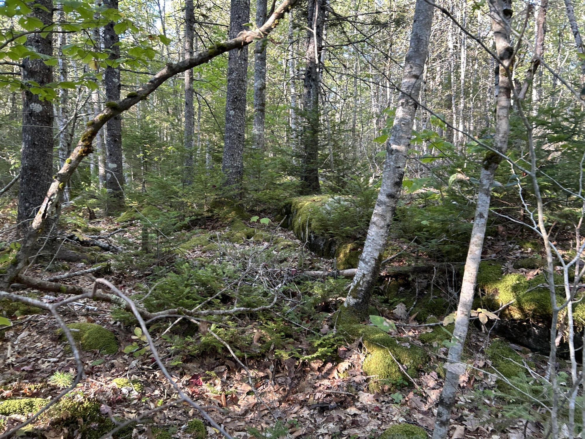 M6L43 Biscay Road Bremen ME 04551