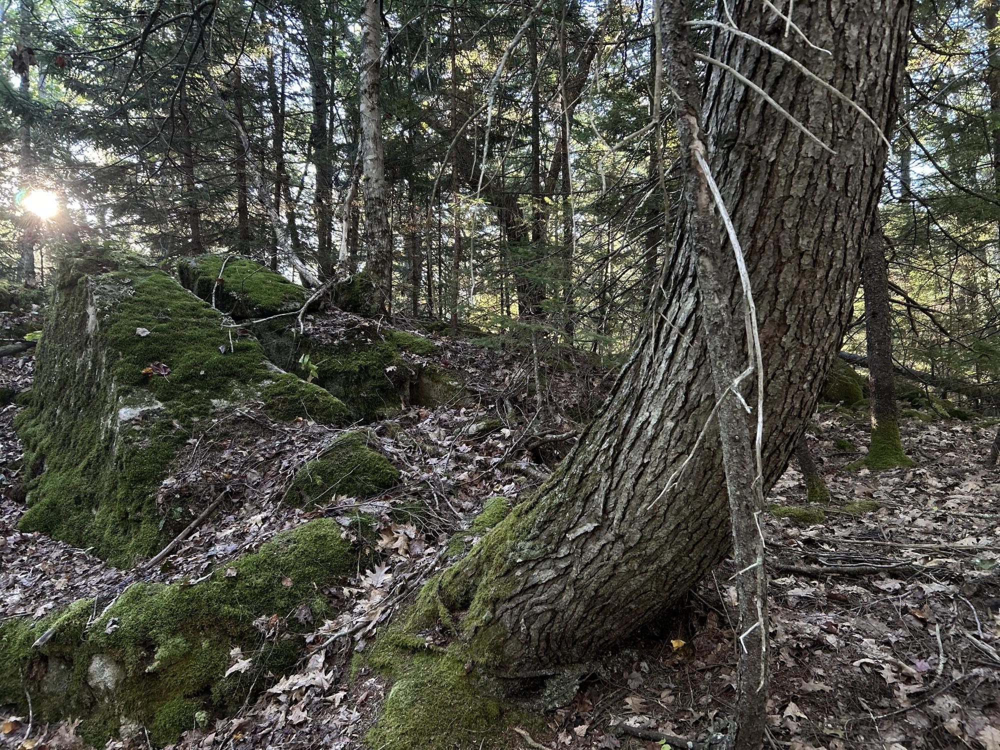 M6L43 Biscay Road Bremen ME 04551