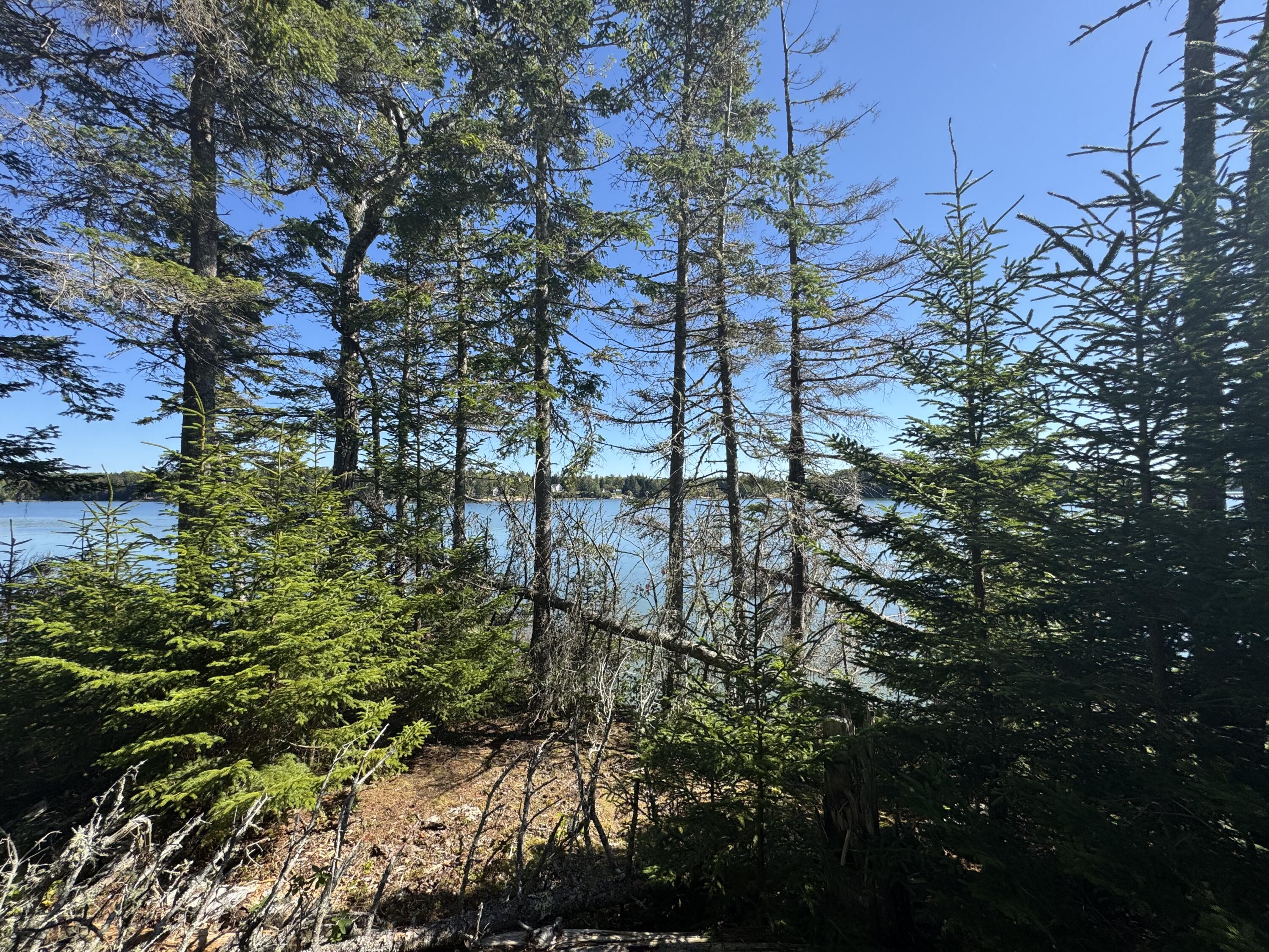 12 Quiet Shore Steuben ME 04680