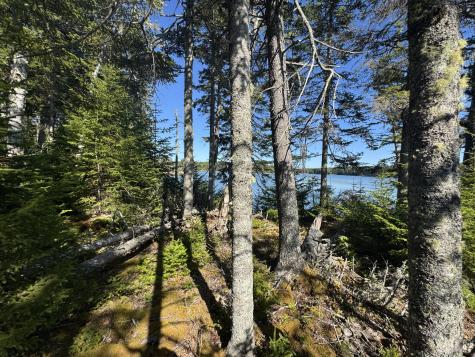 12 Quiet Shore Steuben ME 04680